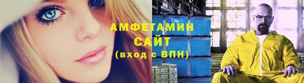 дживик Белокуриха