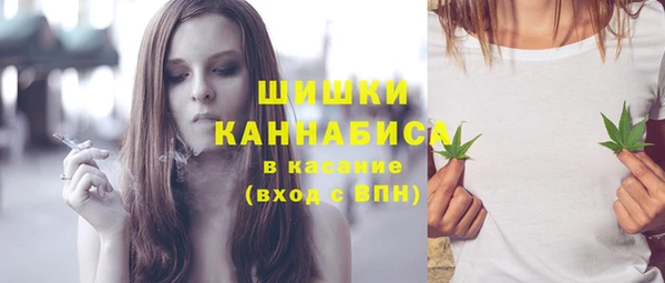 дживик Белокуриха