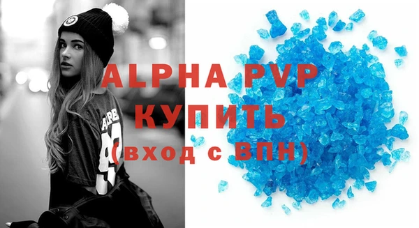 PSILOCYBIN Майский